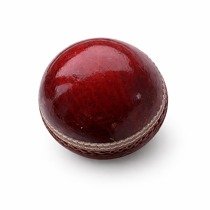 CRICKET-GIFTS Real Cricket Ball Bottle Opener and Paperweight