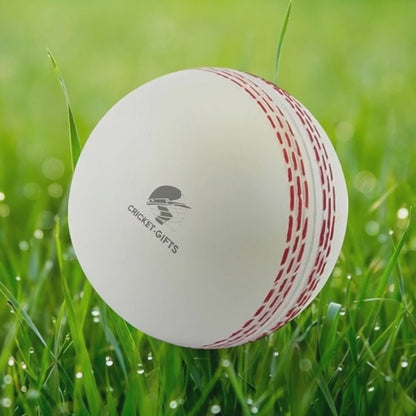 CRICKET-GIFTS - Large Cricket Ball Squeezy Stress Ball | Relieve Tension & Improve Focus